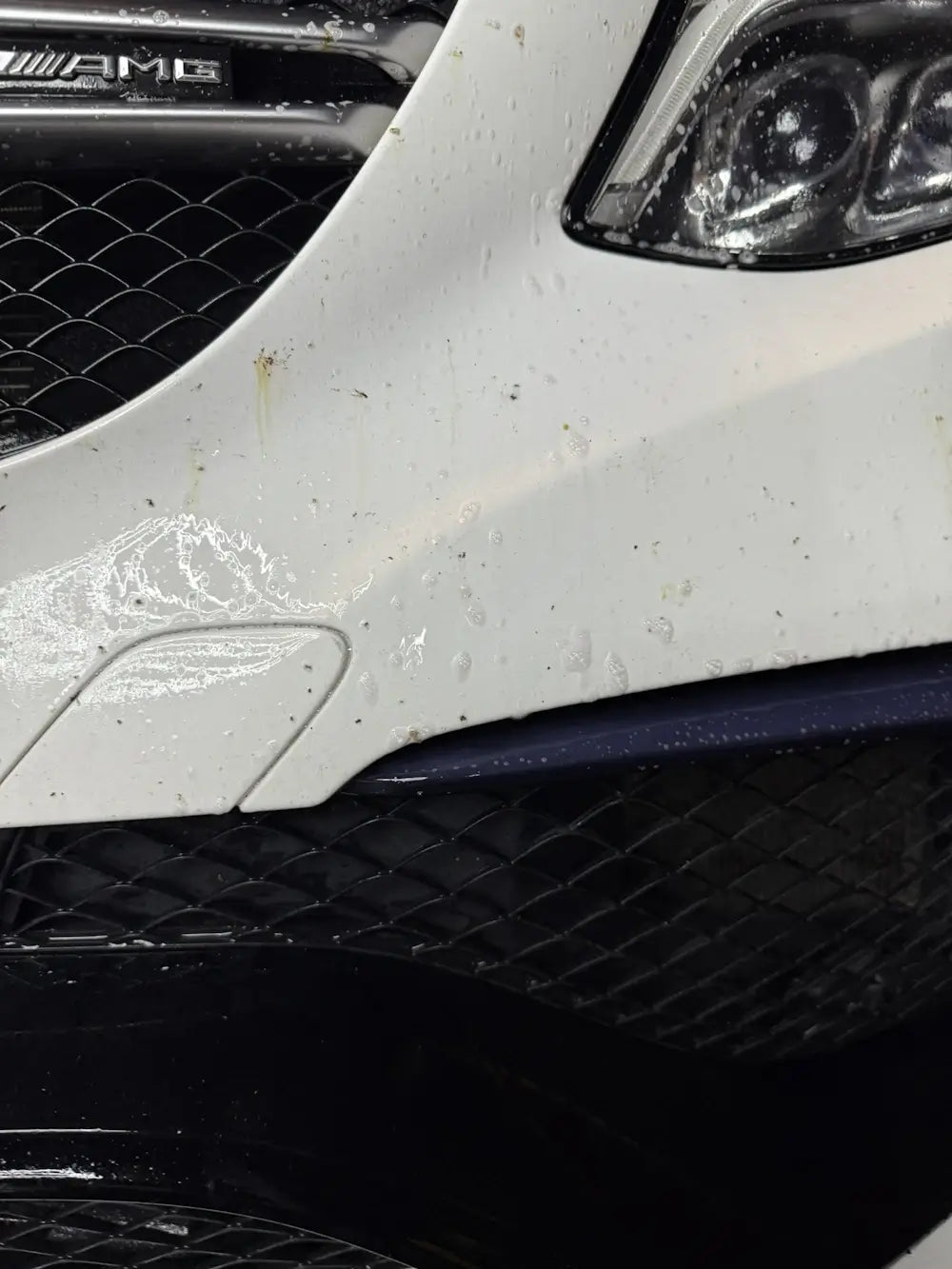 Insektenentferner VISCURA