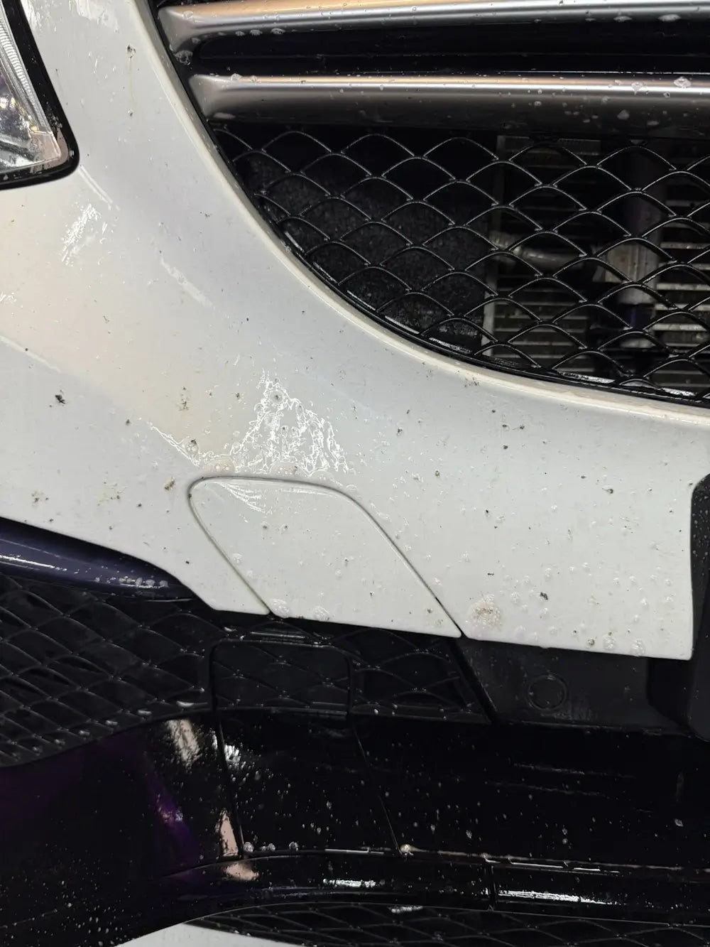 Insektenentferner VISCURA