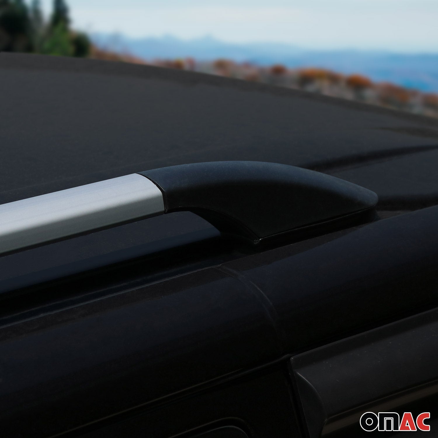 Dachreling Dachgepäckträger für Peugeot Boxer II 2006-2024 L4 Alu Grau OMAC DE