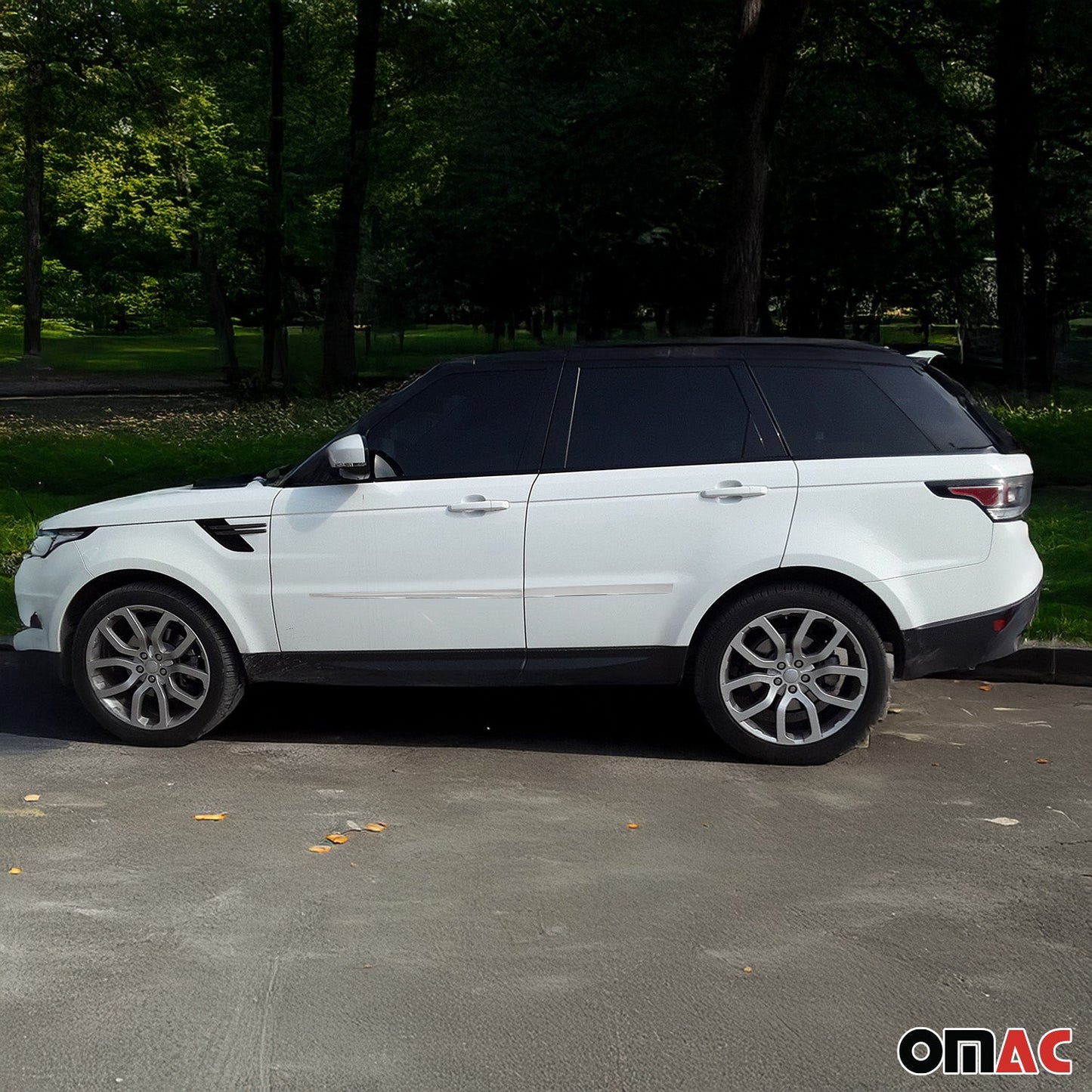 Seitentürleiste Türleiste für LR Range Rover Sport L494 2013-2022 Edelstahl 4x OMAC DE